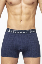 SD2053-2   Salvador Dali 