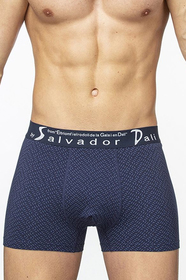 SD2053-2   Salvador Dali 
