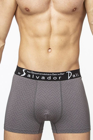 SD2053-3   Salvador Dali 
